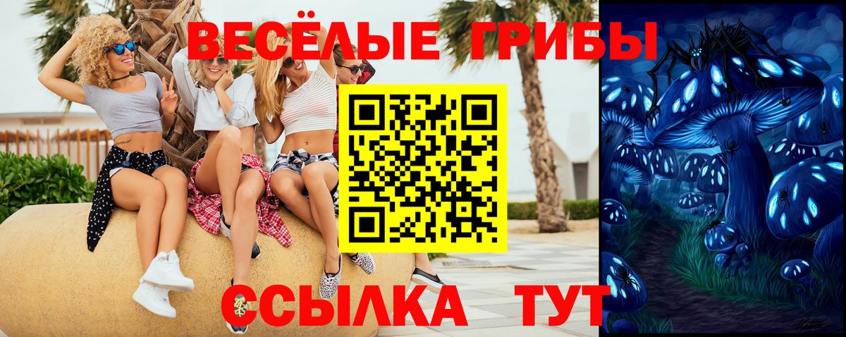 Галлюциногенные грибы ЛСД Егорьевск